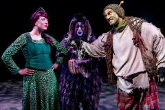 Shrek The Musical